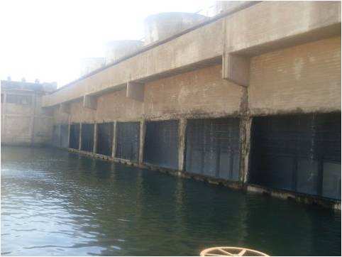 Marine Waterproofing